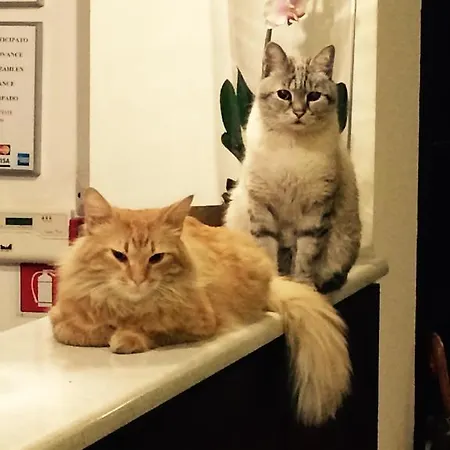 Paradiso Ξενοδοχείο