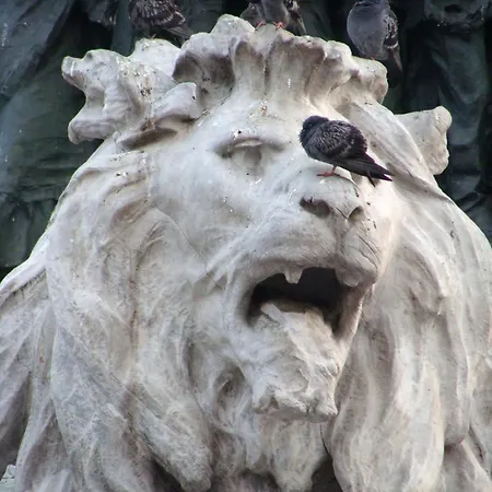 Ξενοδοχείο Paradiso