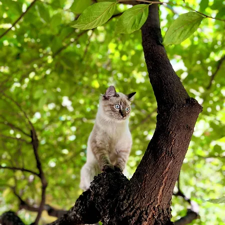 Paradiso Ξενοδοχείο Μιλάνο