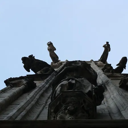 Отель Paradiso