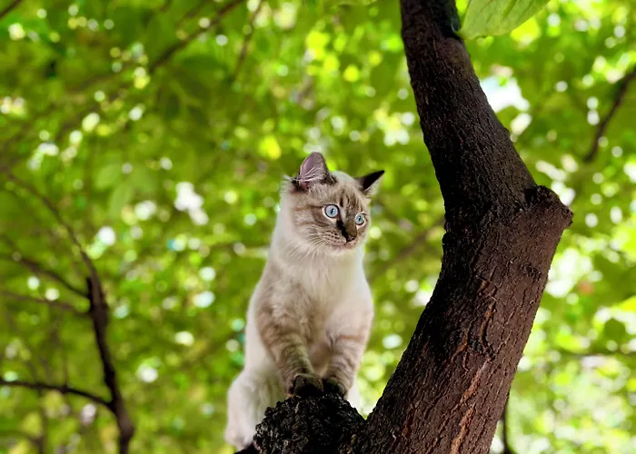 帕拉迪索酒店 酒店 米兰